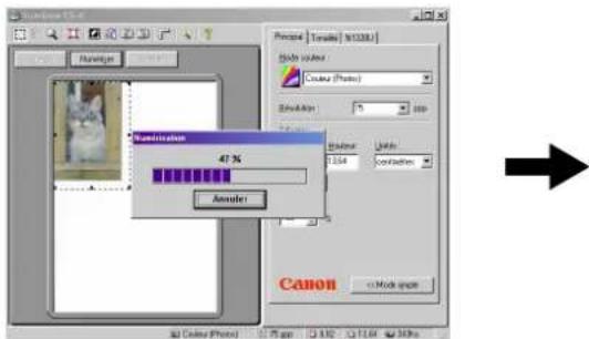 CANON CanoScan N656U - Démarrage rapide - 6