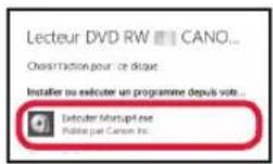 CANON Pixma TS8150 - Utilisation du CD-ROM d'installation (Windows uniquement) - 3