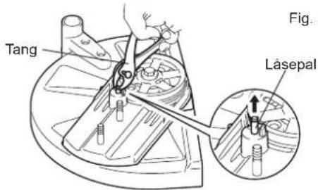 Tang Lasepal Fig. 1