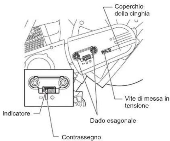 Coperchio della cinghia Vite di messa in tensione Dado esagonale Indicatore Contrassegno