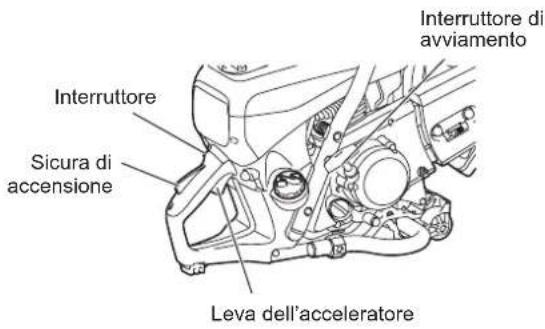 Interruttore di avviamento Sicura di accensione Leva dell'acceleratore