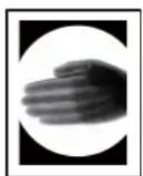 SONY UP991AD - Différents modes d'impression - 2