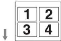 SONY UP991AD - Capture de quatre images (« MULTI:4 » sélectionné dans « N.MULTI ») - 1