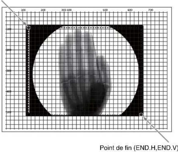 SONY UP991AD - Pour définir la portée de l'image à imprimer - 1