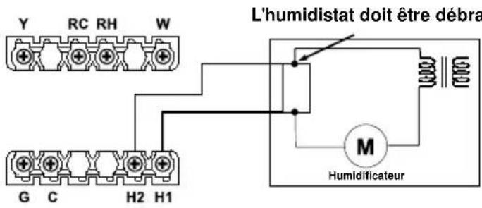 UPM THM501 - Raccordement des fils de l'humidificateur - 1