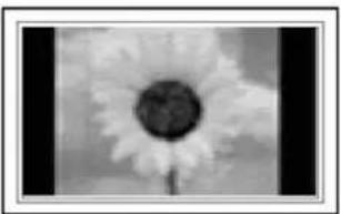 GERICOM GTW3208 - Une image fixe restée trop longtemps à l'écran peut entraîner des dommages permanents sur le - 1