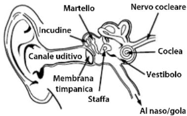 MONSTER Inspiration - Ascoltare in modo responsabile - 1