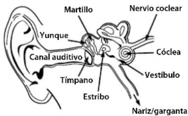MONSTER Inspiration - Escucha de manera responsable - 1