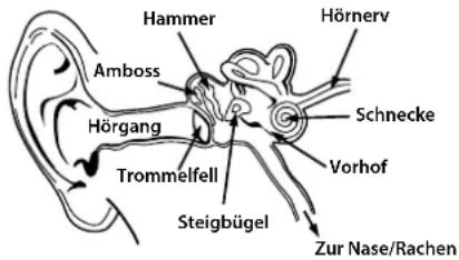 MONSTER Inspiration - Nutzen Sie Ihren Kopfhörer verantwortungsbewusst - 1