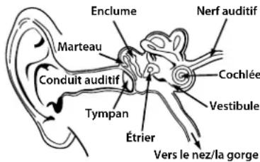 MONSTER Inspiration - Écoutez de manière responsable - 1