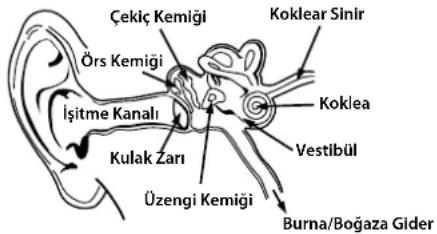 MONSTER Inspiration - Dikkatli Kullanın - 1