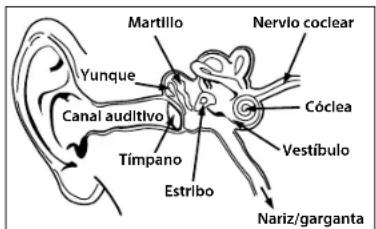MONSTER Gratitude - ESPANOL - 1