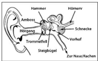 MONSTER Gratitude - DEUTsCh - 1