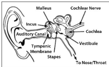 MONSTER Gratitude - ENgLISH - 1