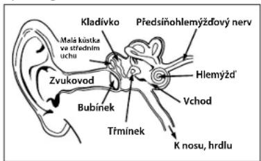 MONSTER Gratitude - CESKY - 1
