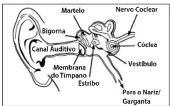 MONSTER Gratitude - PORTUgUES - 1