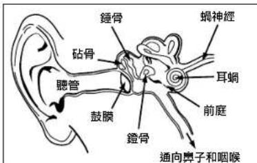 MONSTER Gratitude - 听音乐时注意保护听力 - 1