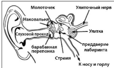 MONSTER Gratitude - PYCCKM - 1