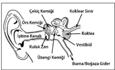 MONSTER Gratitude - TÜRKÇE - 1