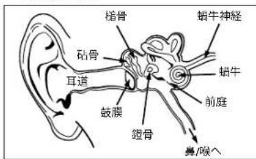 MONSTER Gratitude - 日本語 - 1