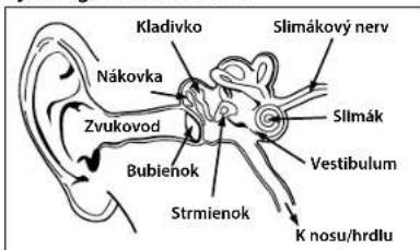 MONSTER Gratitude - SLOVENSKY - 1