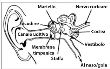 MONSTER Gratitude - ITALIANO - 1