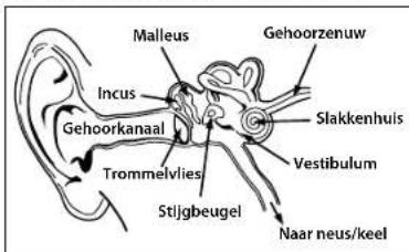 MONSTER Gratitude - NEDERLANDS - 1