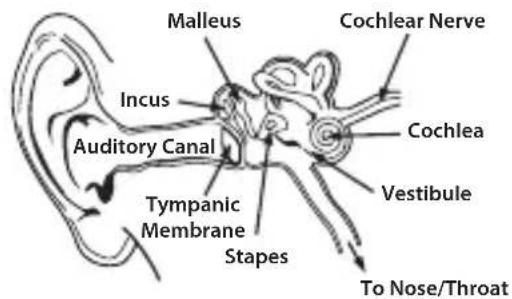 MONSTER Diesel - Listen Responsibly - 4