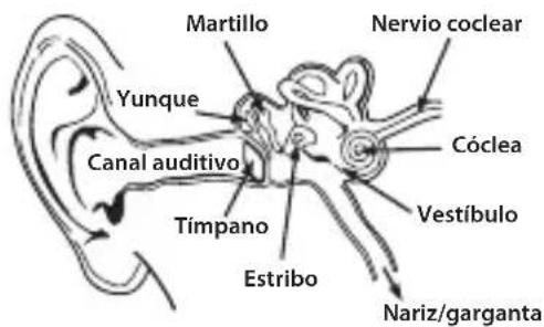 MONSTER Diesel - Escucha de manera responsable - 4
