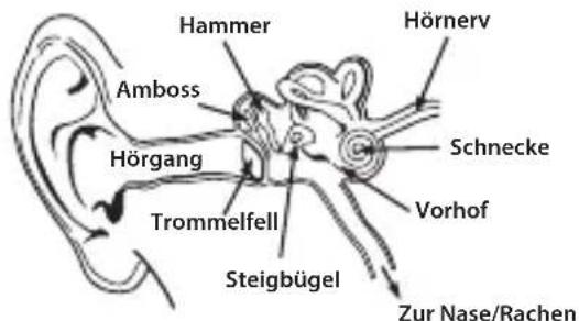 MONSTER Diesel - Nutzen Sie ihren Kopfhörer verantwortungsbewusst - 2