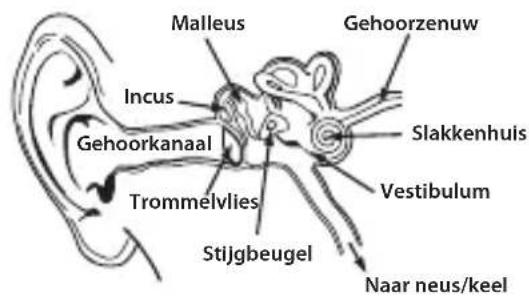 MONSTER Diesel - Luister op een verantwoorde manier\ aar muziek - 3