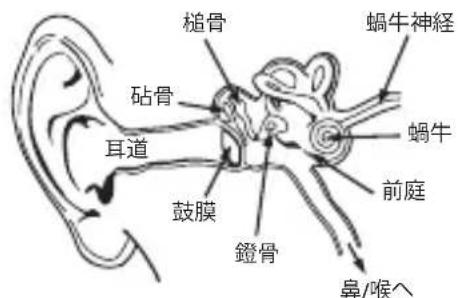 MONSTER Diesel - 周匝配歴 - 1