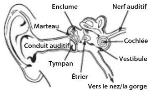 MONSTER Diesel - Écoutez de manière responsable - 2