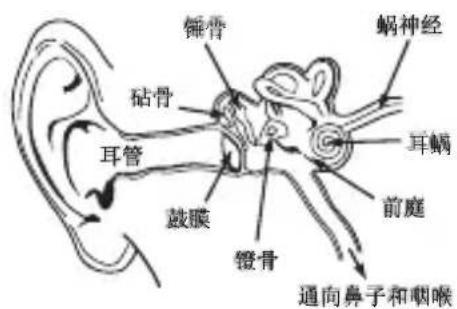 MONSTER Diesel - 为您的听力负责 - 1