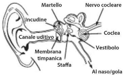 MONSTER Diesel - Ascoltare in modo responsableile - 5