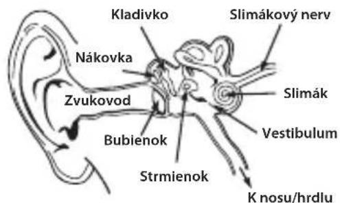 MONSTER Diesel - RECLAMACION FORMAL DE GARANTIA - 7