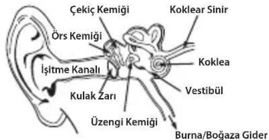 MONSTER Diesel - Dikkatli Kullanin - 1