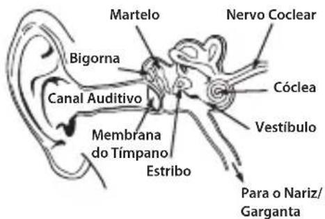 MONSTER Diesel - Responsabilitadao Ouvir - 1
