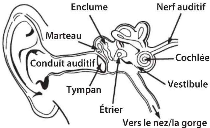 MONSTER NERGY - FRANÇAIS - 1