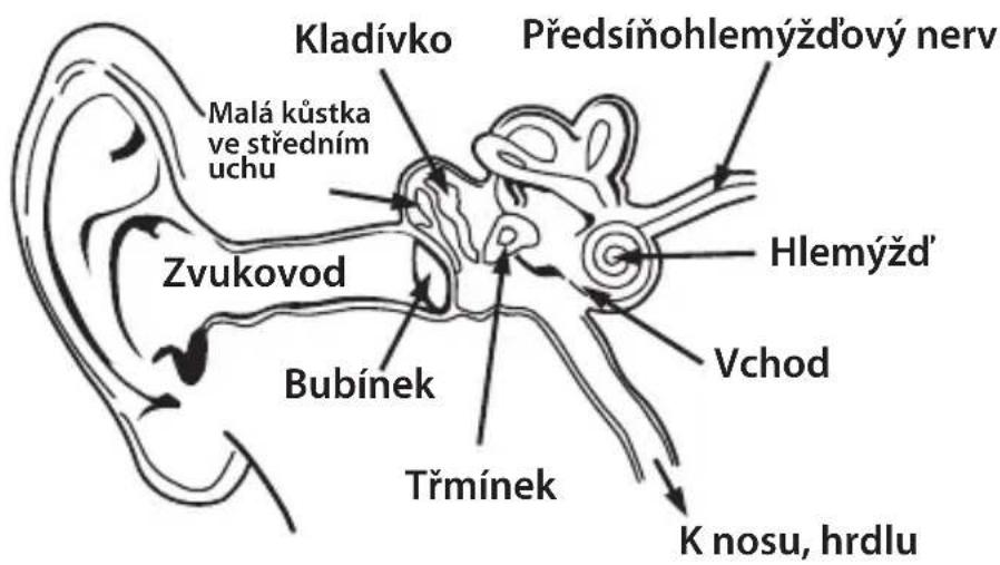 MONSTER NERGY - ČESKY - 1