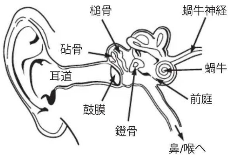 MONSTER NERGY - 責任を持った聴き方 - 1