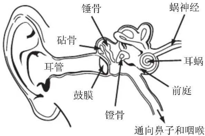 MONSTER NERGY - 正确收听 - 1