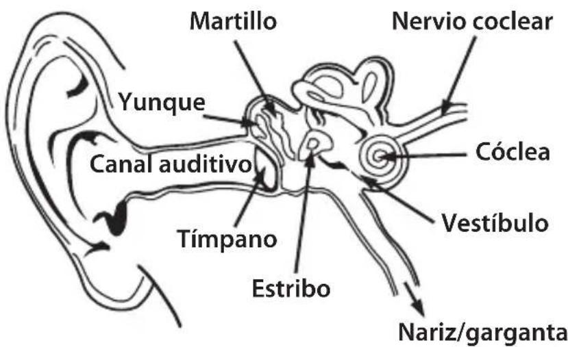 MONSTER NERGY - ESPAÑOL - 1