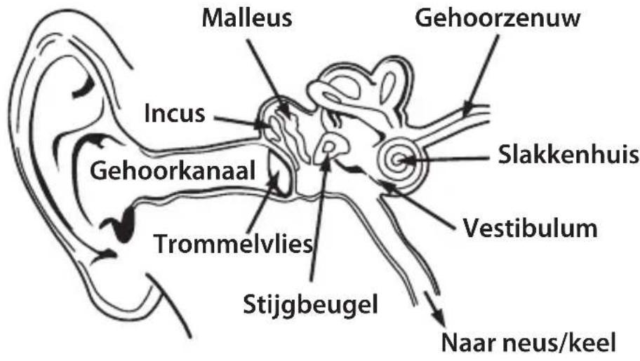 MONSTER NERGY - NEDERLANDS - 1