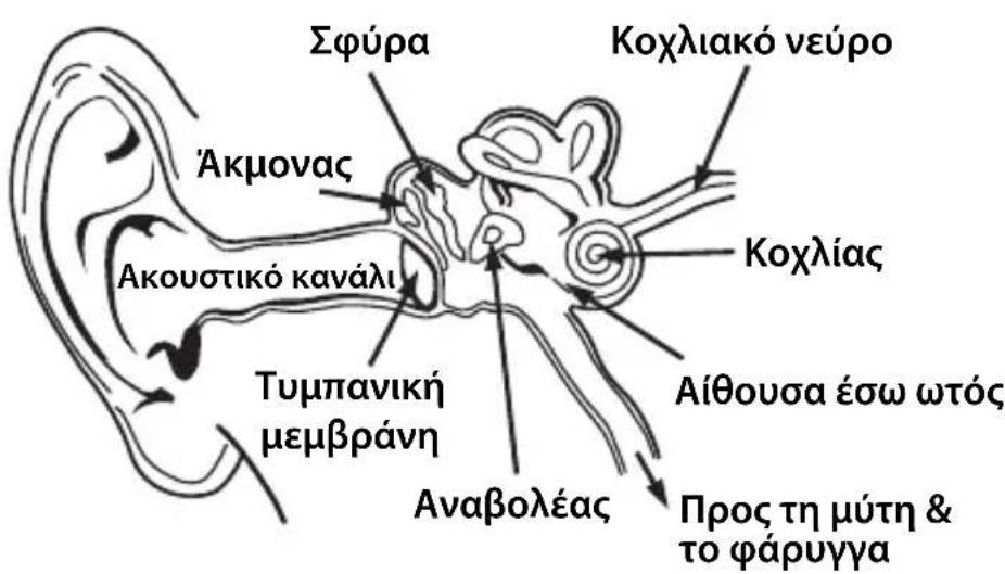 MONSTER NERGY - ελληνικά - 1