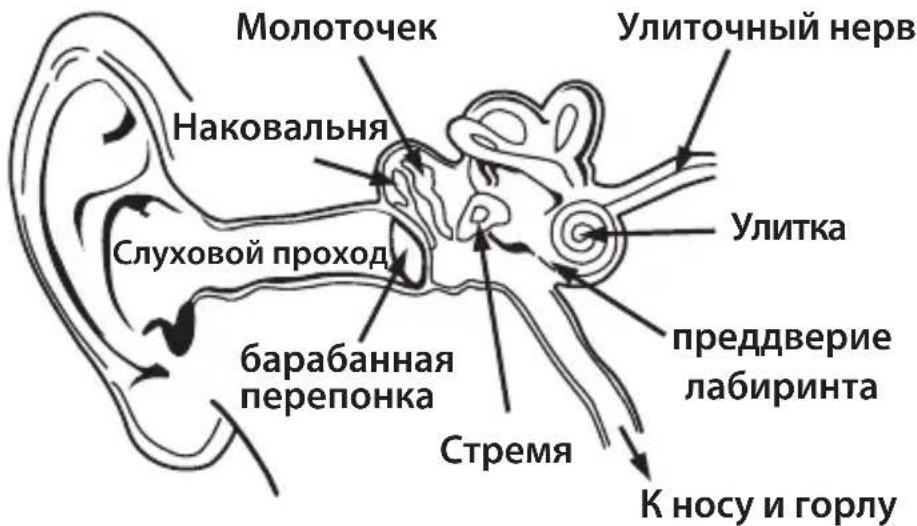 MONSTER NERGY - Соблюдайте меры предосторожности при прослушивании - 1