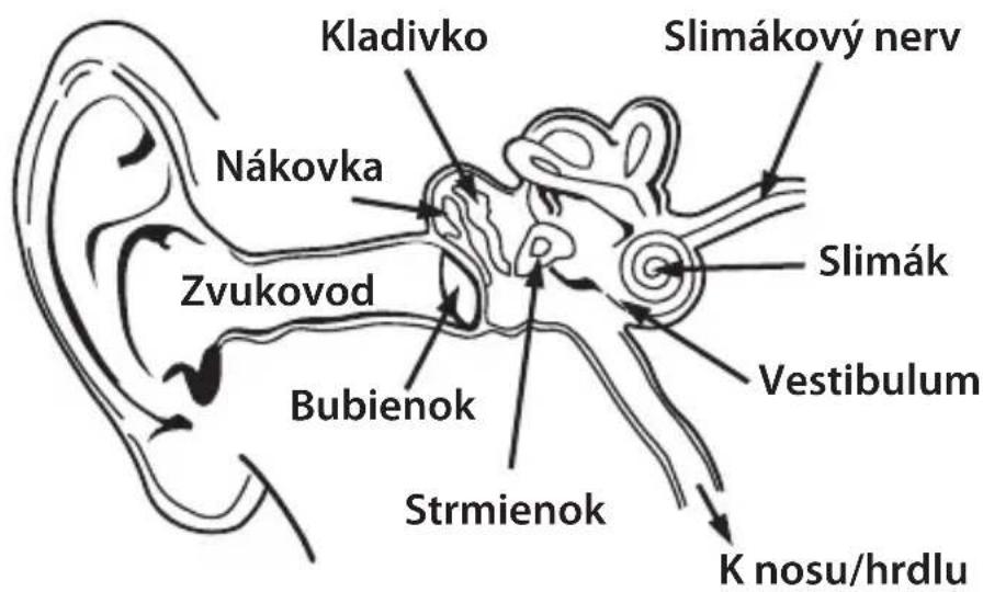 MONSTER NERGY - SLOVENSKY - 1