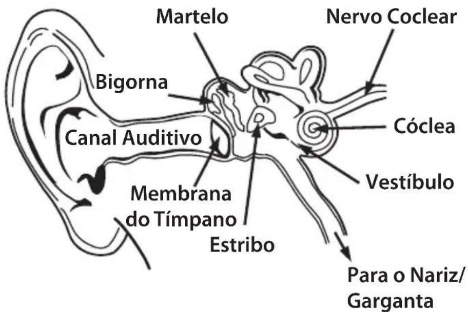MONSTER NERGY - PORTUGUÊS - 1