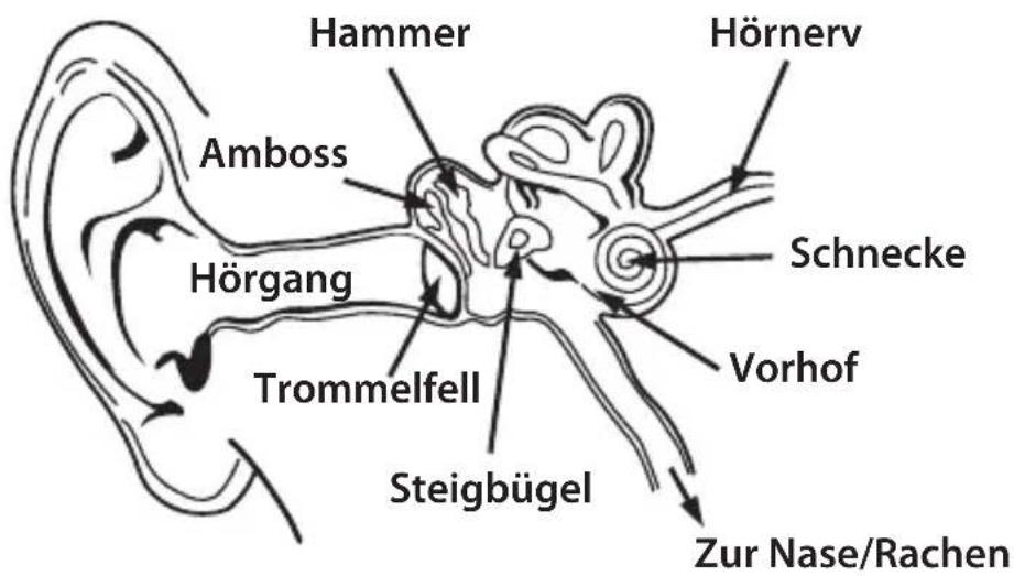 MONSTER NERGY - DEUTSCH - 1