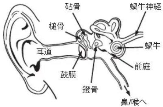 MONSTER iSport Freedom Wireless - 簡略版EU適合宣言書 - 3